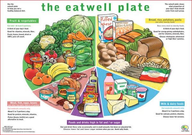 Eatwell Plate English Reading Exercise beginner Level Bitgab